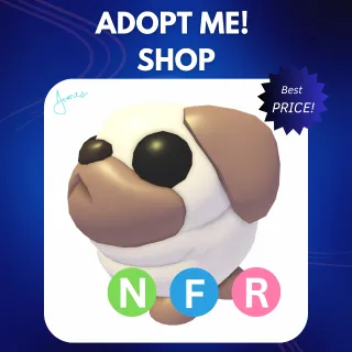 NFR SNOWBALL PUG
