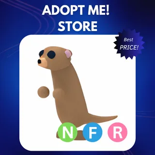 NFR MEERKAT
