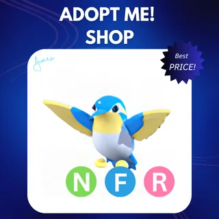 NFR DIAMOND HUMMINGBIRD