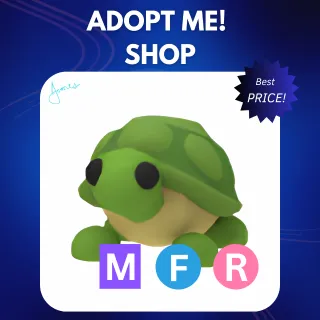 MFR TURTLE