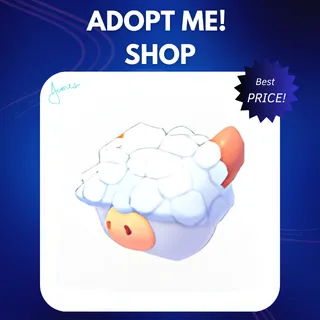 50X ABERDEEN ANGUS BOX