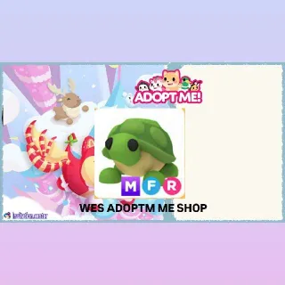 Pet | MFR TURTLE