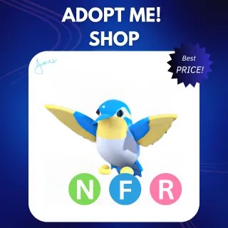 NFR DIAMOND HUMMINGBIRD