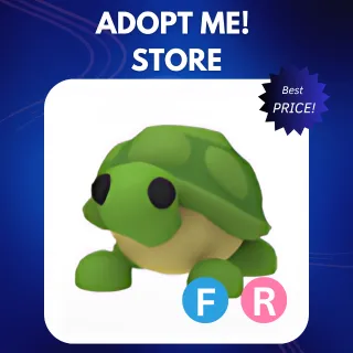 FR TURTLE 