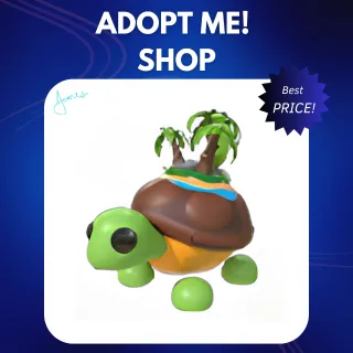 4X TORTUGA DE LA ISLA