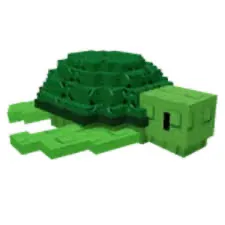 HUGE SEA TURTLE (20+kg)