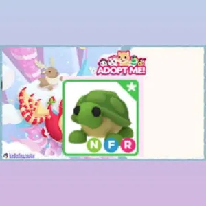 NFR TURTLE