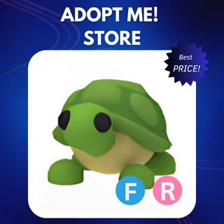 FR TURTLE 