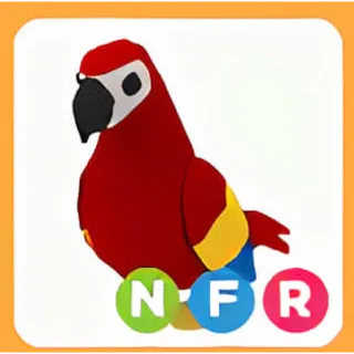 Pet | NFR PARROT