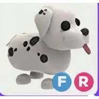 fr dalmatian