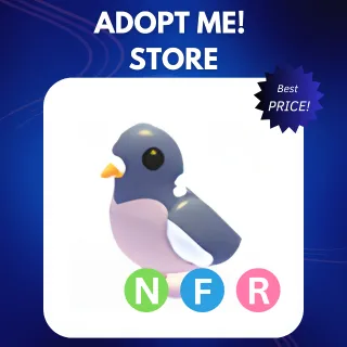 NFR WOOD PIGEON