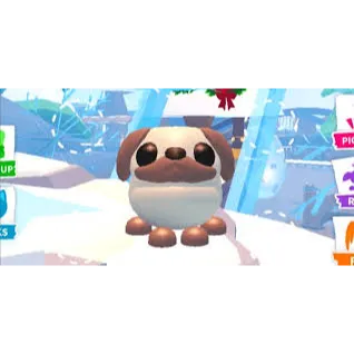 mfr snowball pug