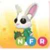 NFR MR. WHISKERPIPS