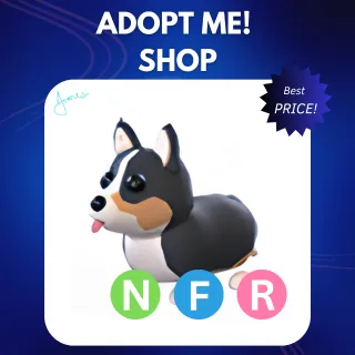 NFR ROYAL CORGI