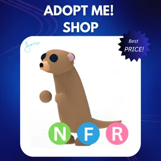 NFR MEERKAT