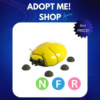 NFR GIANT GOLD SCARAB