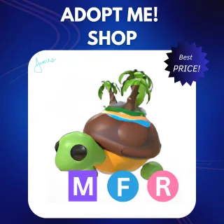 MFR TORTUGA DE LA ISLA