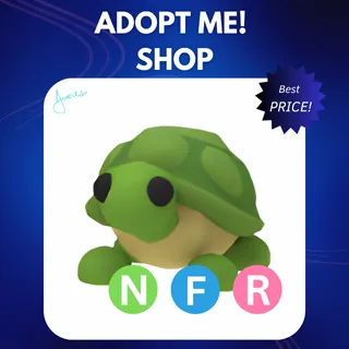 NFR TURTLE