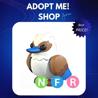 NFR KOOKABURRA