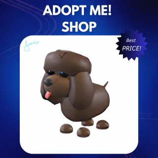 4X IRISH WATER SPANIEL