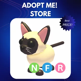 NFR SIAMESE CAT