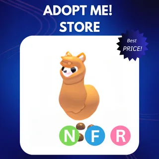 NFR ALPACA