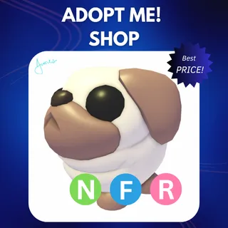 NFR SNOWBALL PUG