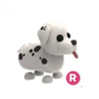 Dalmatian (R)