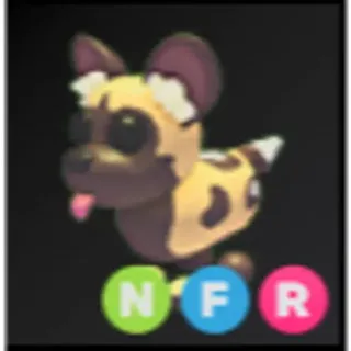 NFR African Wild Dog