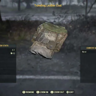 Traveling Leather Coat