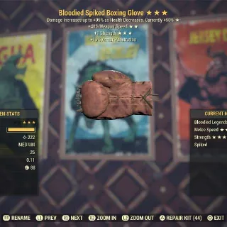 Weapon | BSSS Boxing Glove
