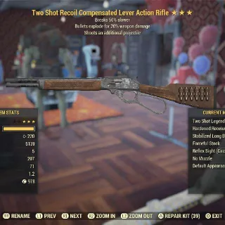 Weapon | TSE BS Lever Action