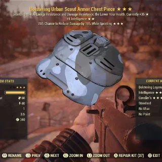 Apparel | Bols Int Cav US Chest