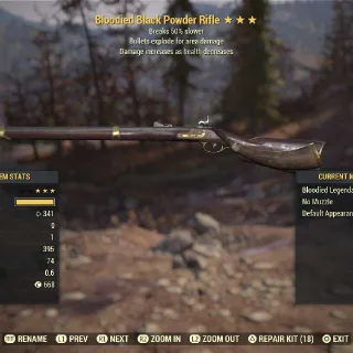 Weapon | BE BS Black Powder Rifle