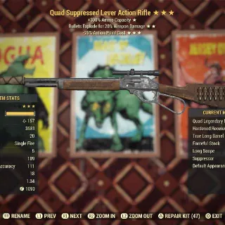 Weapon | QE25 Lever Action