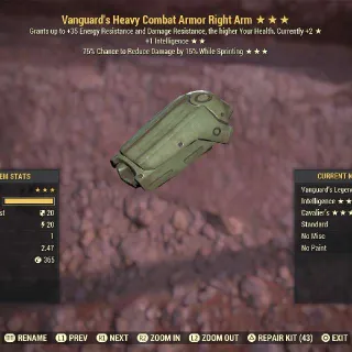 Van Int Cav Combat RA