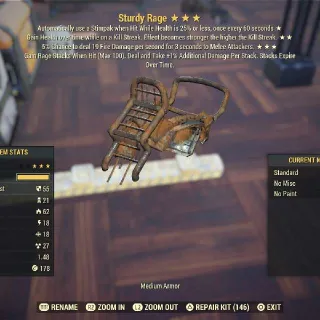Sturdy Rage Armor
