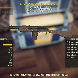 Weapon | Aris5015 Radium