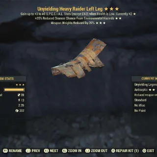 Uny Edr Wwr Raider LL