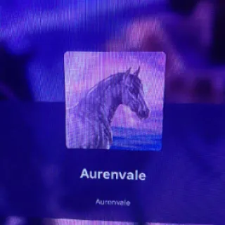 CUSTOM HORSES : AURENVALE