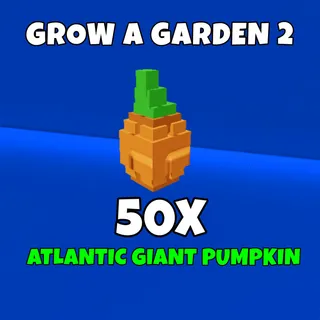 50x Atlantic giant pumpkin 