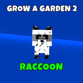 Raccoon 