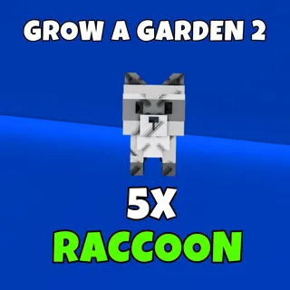 5x raccoon