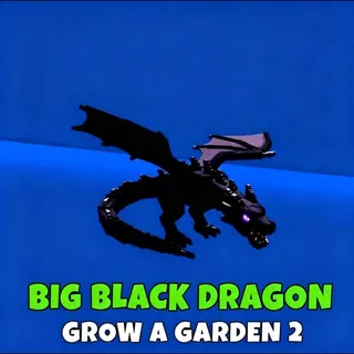 Big black dragon 