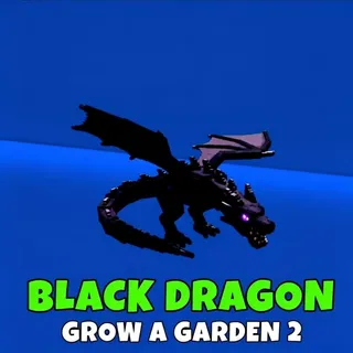 Black dragon