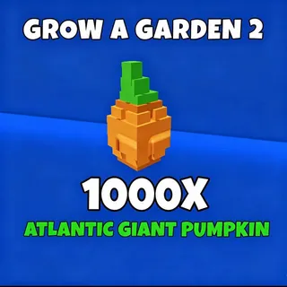 1000x Atlantic giant pumpkin 