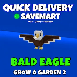 Bald eagle