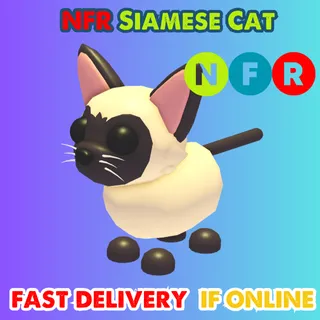 NFR Siamese Cat | Adopt Me