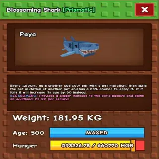 GAG 1 - BLOSSOMING SHARK