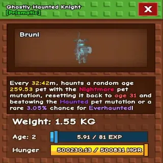 Ghostly Haunted Knight
